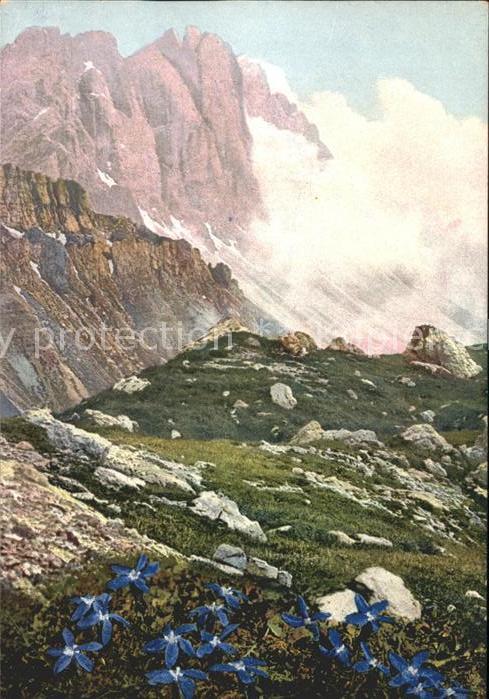Verlag Photochromie Nr. 904 Serie 519 Gentiana bavarica Natursc