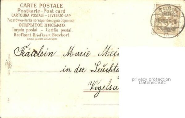 Datumskarte 1. Januar Vogel Rosen Neujahr Litho – Bild 2