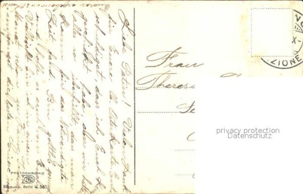 Verlag Photochromie Nr. 565 Weidenkätzchen Japanische Zierquitt – Bild 2