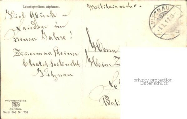 Verlag Photochromie Nr. 758 Serie 506 Leontopodium alpinum Edel – Bild 2