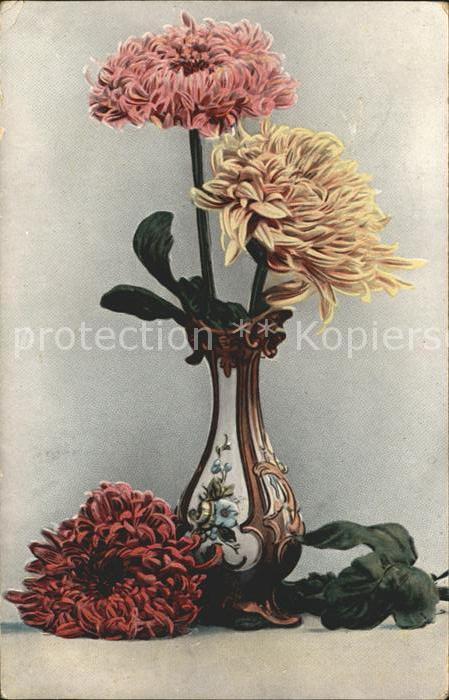 Blumen Dahlien Vase