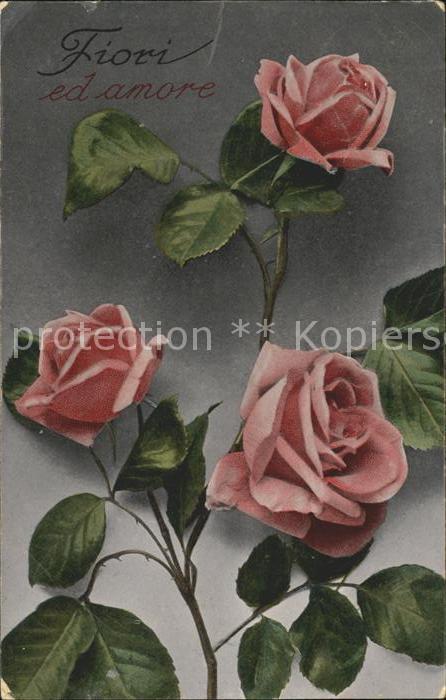 Rosen