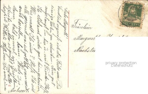 Rosen – Bild 2