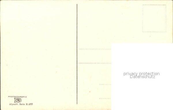 Verlag Photochromie Nr. 489 Enzian Heidekraut – Bild 2
