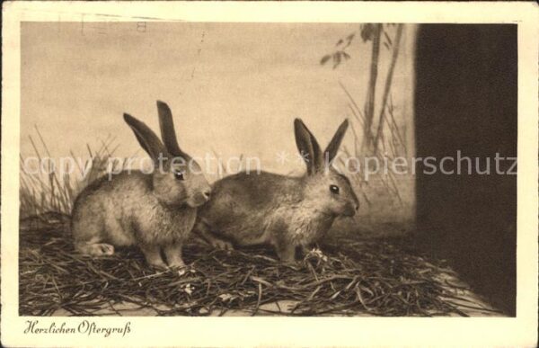 Hasen Ostern
