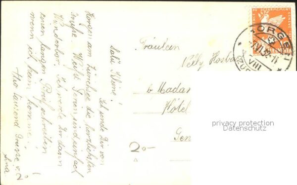Schwan Schwäne – Bild 2