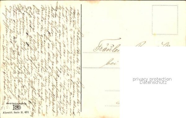 Verlag Photochromie Nr. 491 Enzian Schlüsselblumen – Bild 2