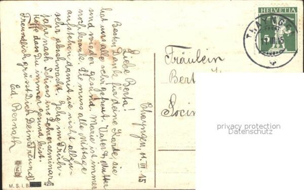 Rosen – Bild 2