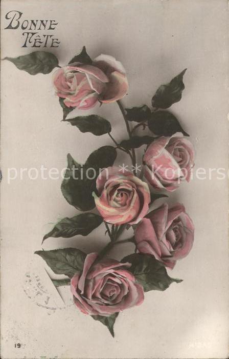 Rosen Bonne Fete