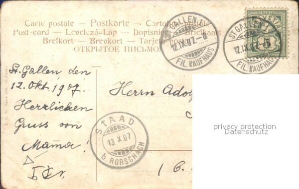 Obst Nektarinen Trauben Karaffe – Bild 2