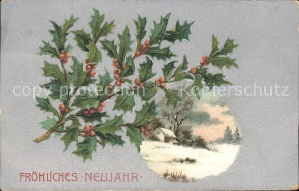 Neujahr Stechpalme