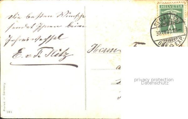 Neujahr Stechpalme – Bild 2