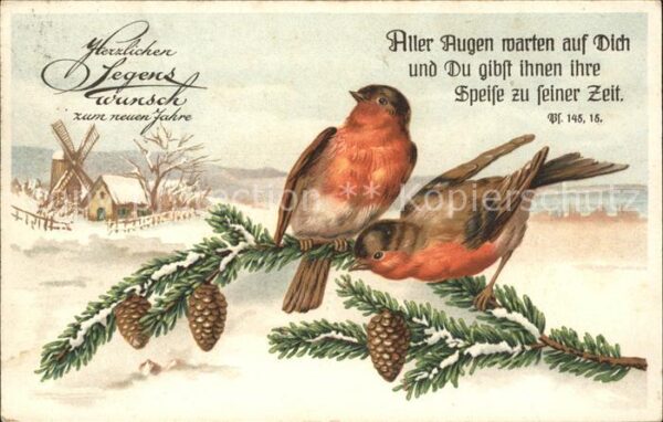 Voegel Rotkehlchen Neujahr Tannenzapfen Psalm