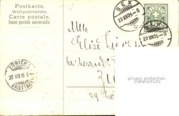 Neujahr Mistel – Bild 2