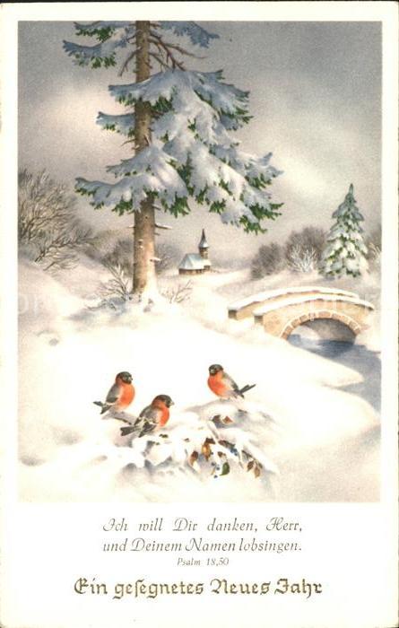 Voegel Rotkehlchen Neujahr Psalm
