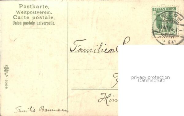 Voegel Schwalben Neujahr – Bild 2