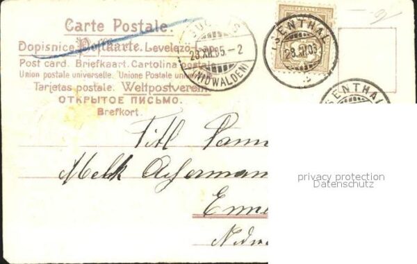 Neujahr Glückwunsch Vergissmeinnicht – Bild 2
