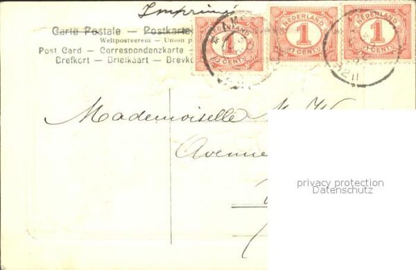 Neujahr Veilchen – Bild 2