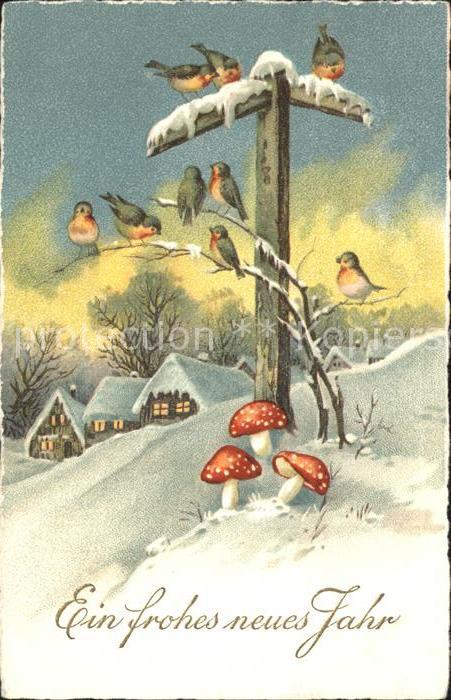 Voegel Rothkehlchen Pilze Neujahr