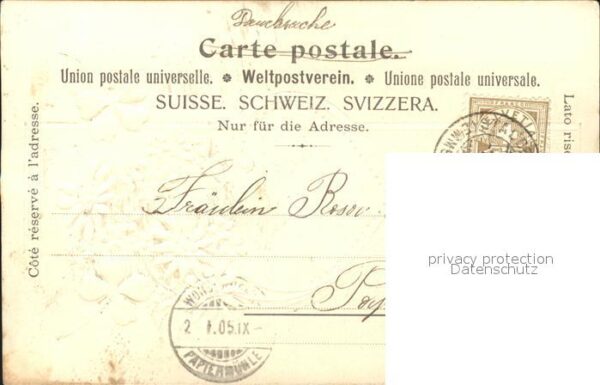 Neujahr Edelweiss Kleeblätter – Bild 2