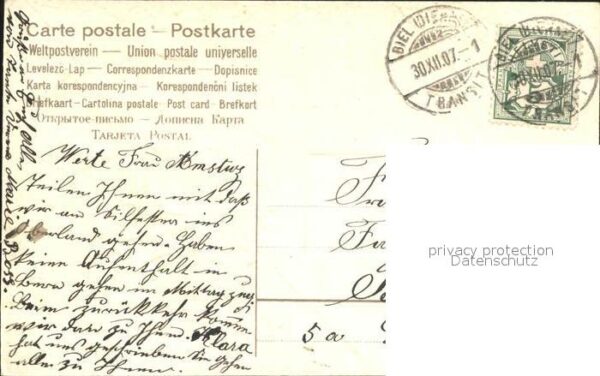 Neujahr Veilchen – Bild 2