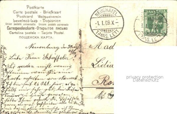 Neujahr Stechpalme – Bild 2