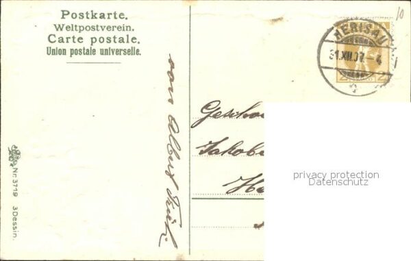 Neujahr Stechpalme Kuhe – Bild 2