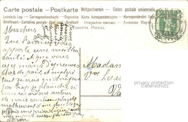 Neujahr Stechpalme Baumstamm – Bild 2