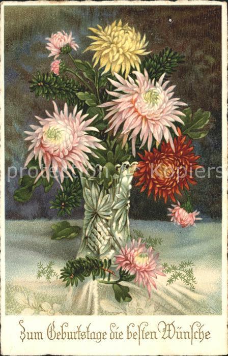 Blumen Dahlien Glückwunsch Geburtstag