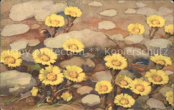 Haller Anna Nr. 366 Blumen