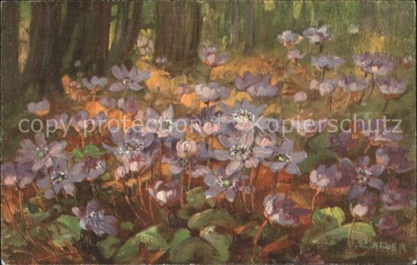 Haller Anna Nr. 318 Blumen