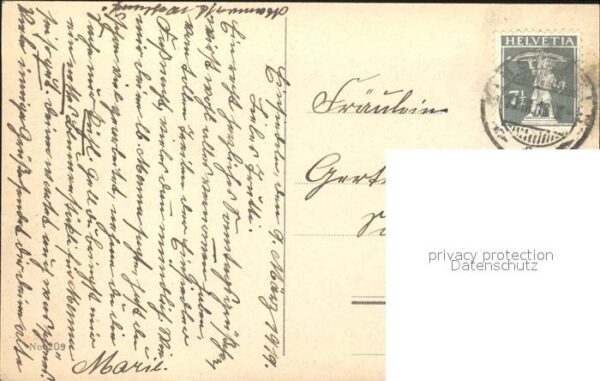Haller Anna Nr. 209 Hasel Schlüsselblumen – Bild 2