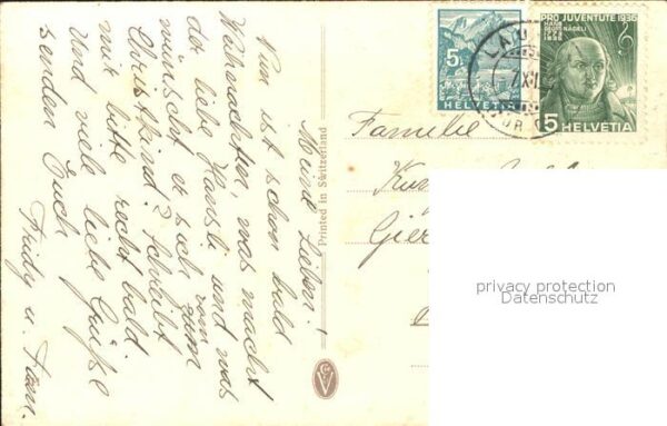 Haller Anna Veilchen Weidenkätzchen – Bild 2