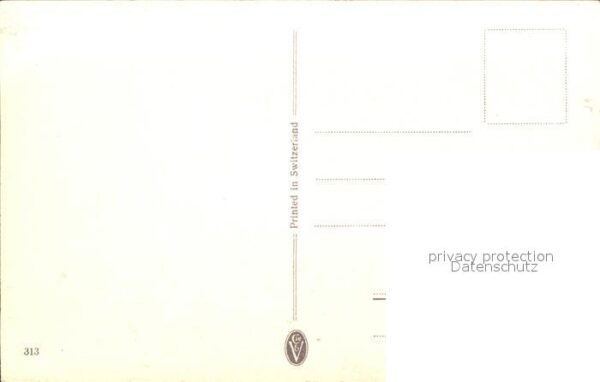 Haller Anna Nr. 313 Enzian – Bild 2