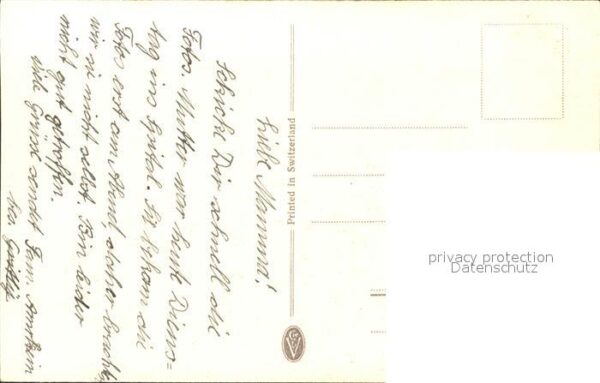 Haller Anna Nr. 352 Rote Maßliebchen – Bild 2