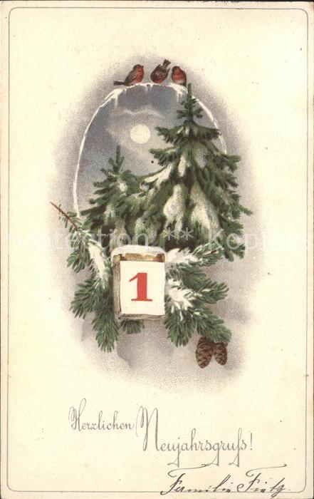Datumskarte 1. Januar Neujahr Tannenzapfen Rotkehlc