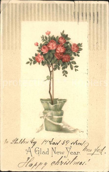 Neujahr Rosen