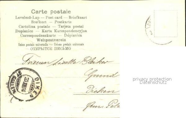 Rosen Neujahr – Bild 2