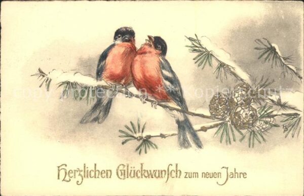 Voegel Gimpel Blutfink Glückwunsch Neujahr