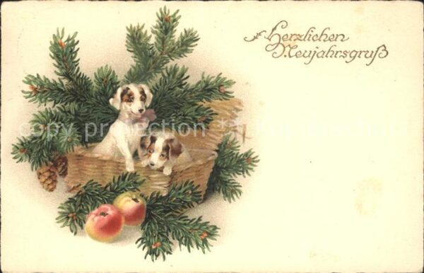 Hunde Welpen Äpfel Tannenzapfen Neujahr