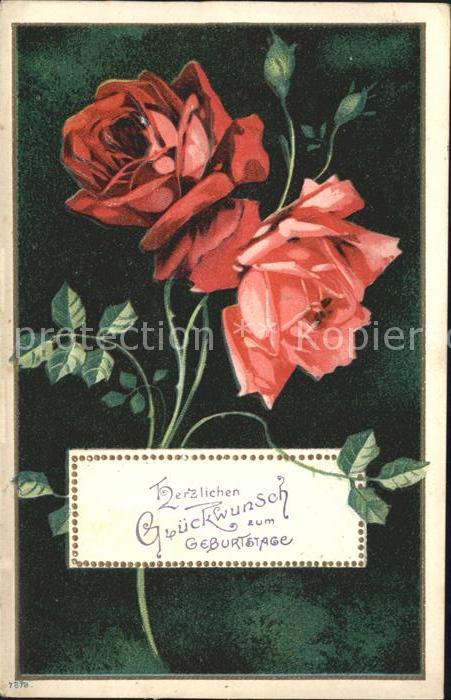 Rosen Glückwunsch Geburtstag