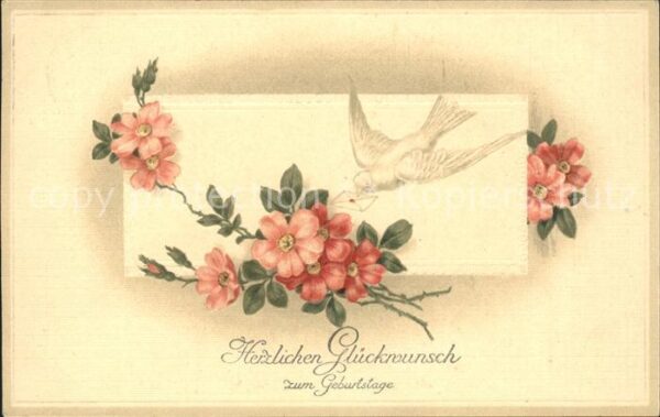 Brieftaube Carrier Pigeon voyageur Blumen Glückwunsch Geburtstag