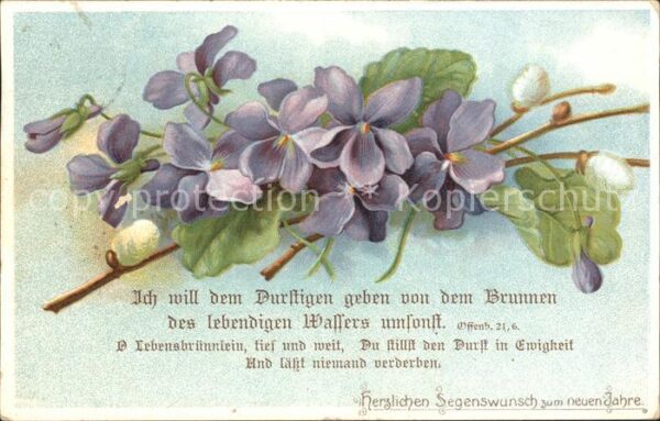 Neujahr Veilchen Weidenkätzchen Gedicht