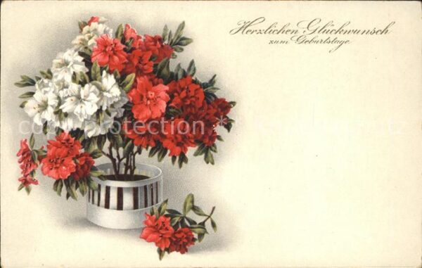 Verlag Meissner und Buch Glückwunsch Geburtstag Blumen