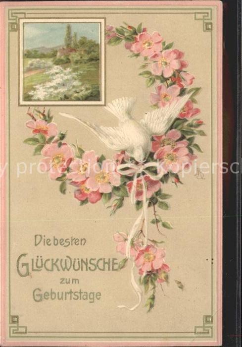 Tauben Rosen Glückwunsch Geburtstag