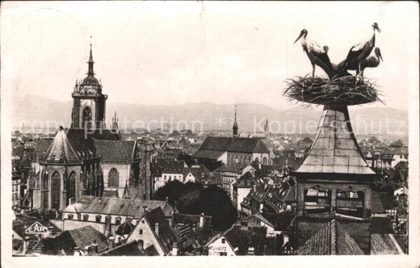 Storch Colmar Nid de Cigognes