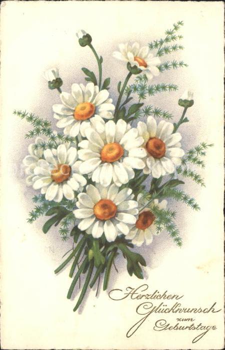 Geburtstag Margeriten Glückwunsch Litho
