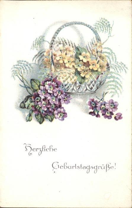 Geburtstag Veilchen Schlüsselblumen Korb