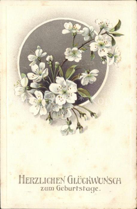Geburtstag Glückwunsch Blumen