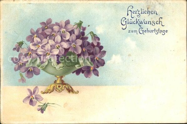 Geburtstag Glückwunsch Veilchen Litho